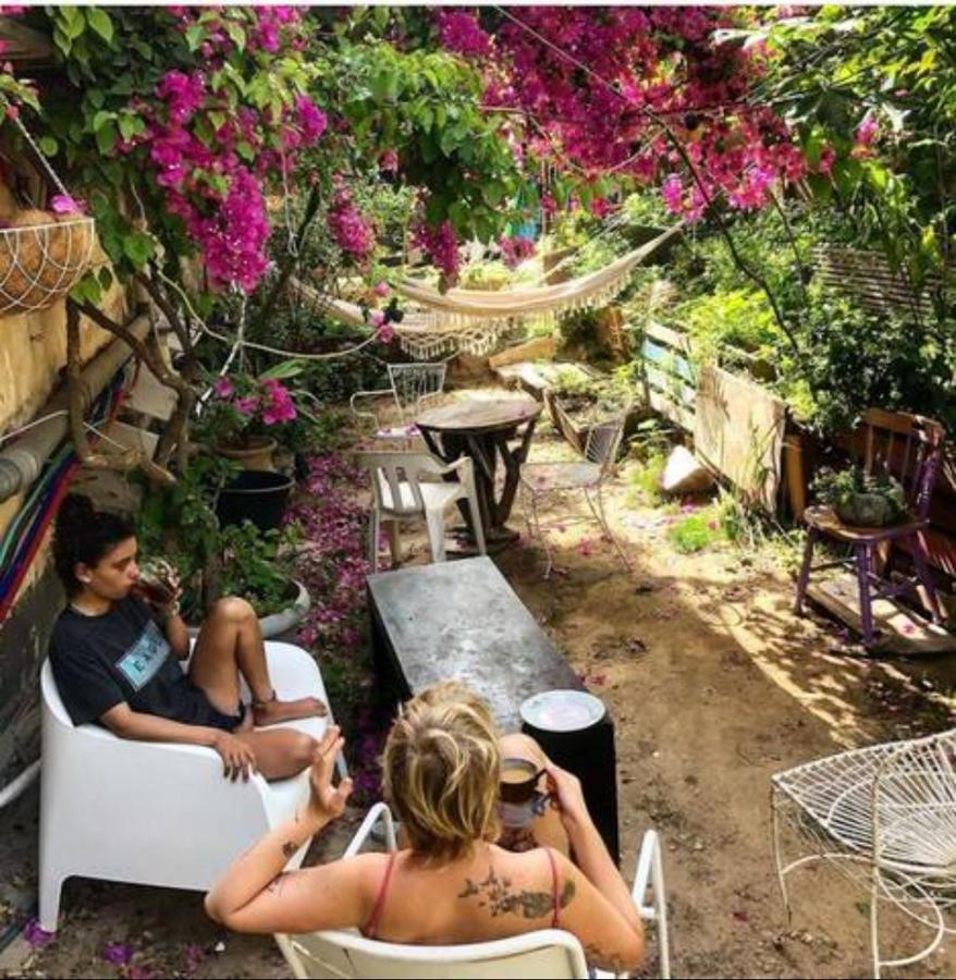 Jaffa Guesthouse 特拉维夫 外观 照片