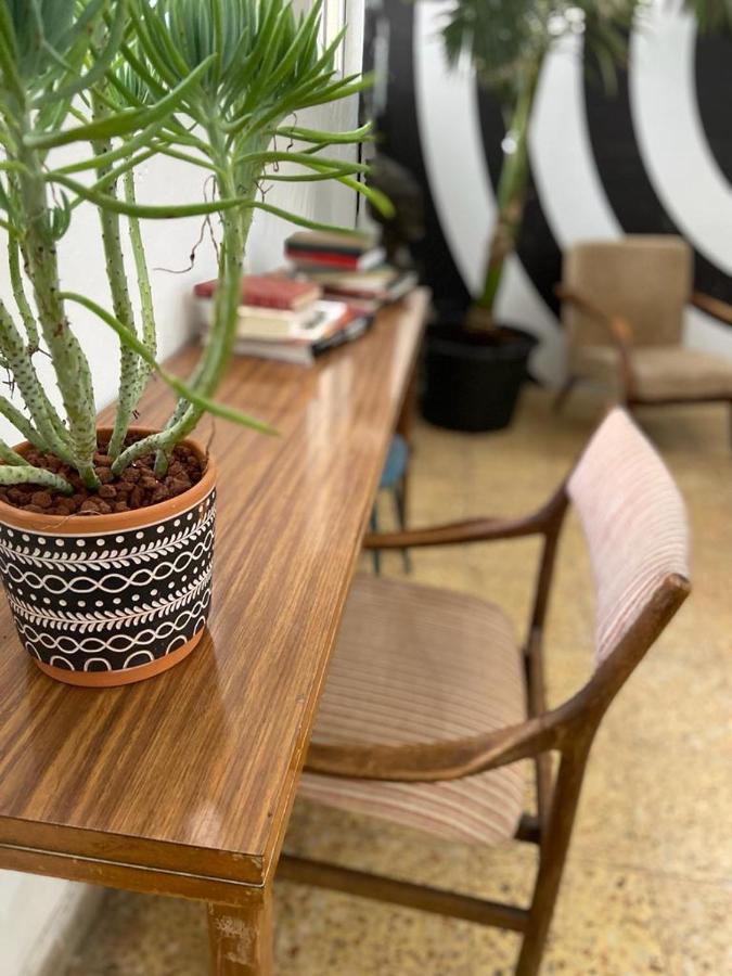Jaffa Guesthouse 特拉维夫 外观 照片